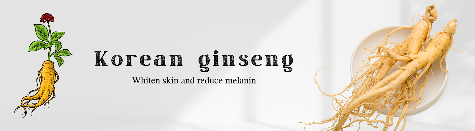 Korean Ginseng